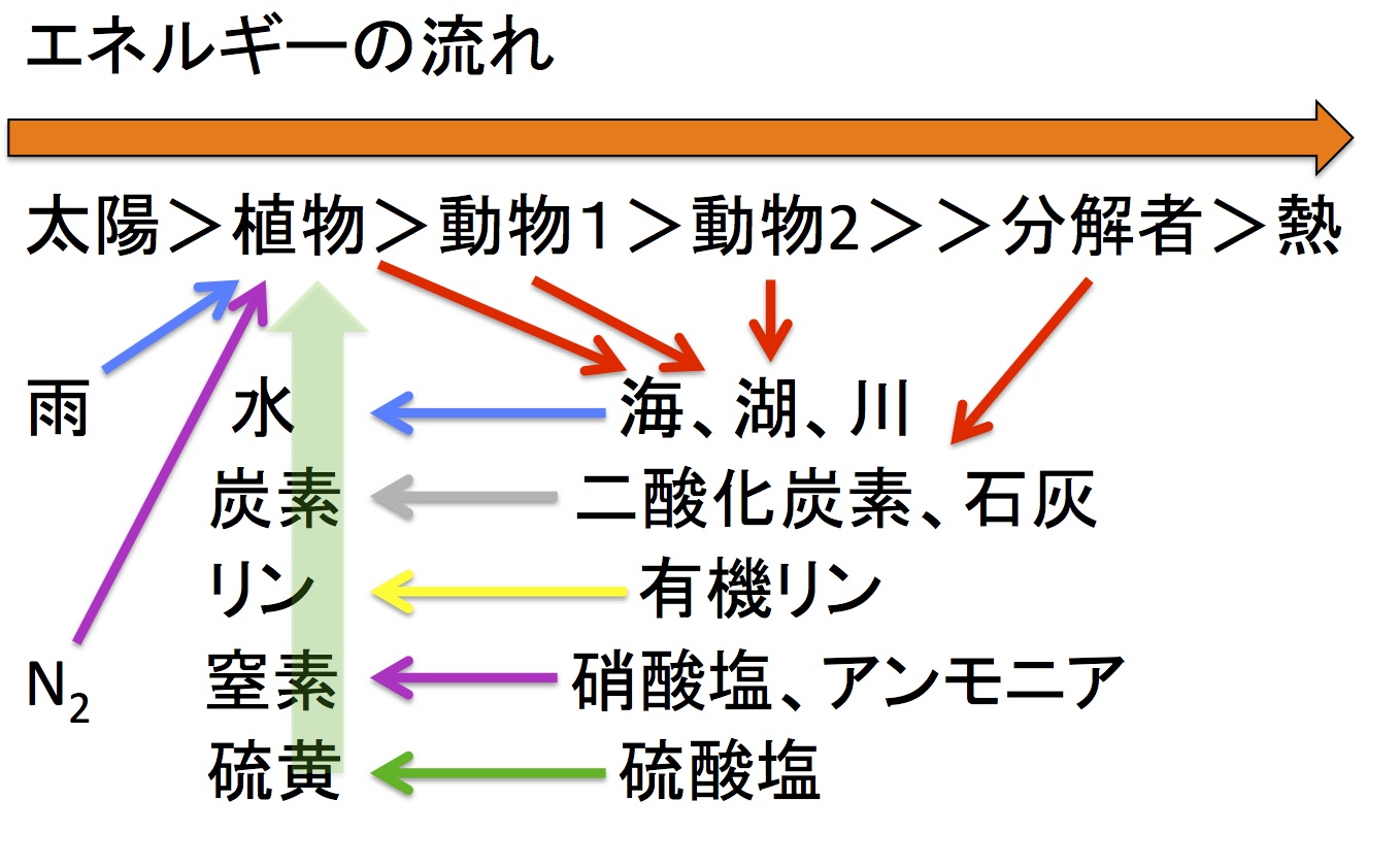 EnergyCycle