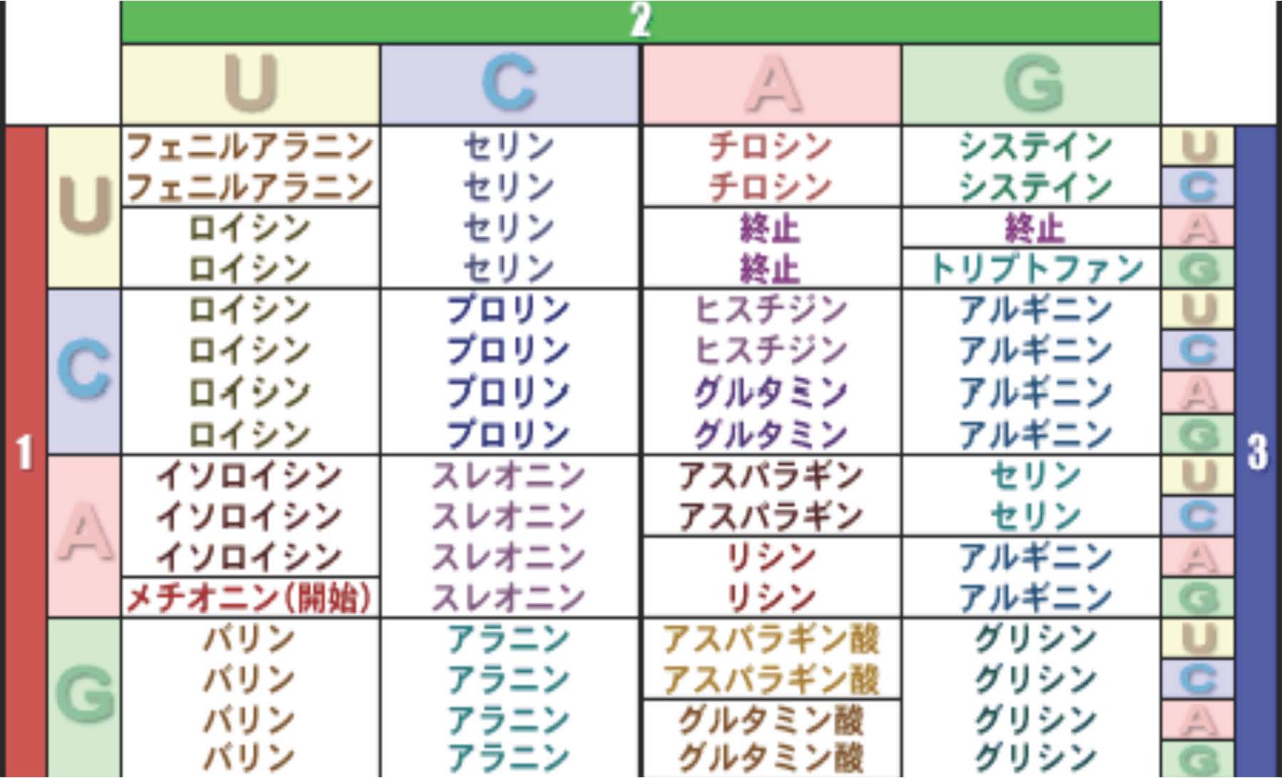 CodonTable
