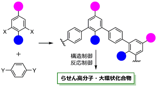 らせん高分子や大環状化合物の合成